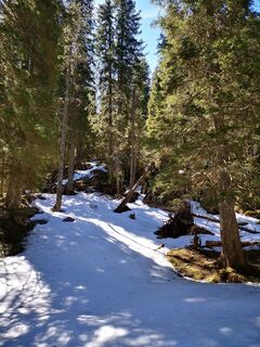Photo de ChasquiRunner le long du parcours