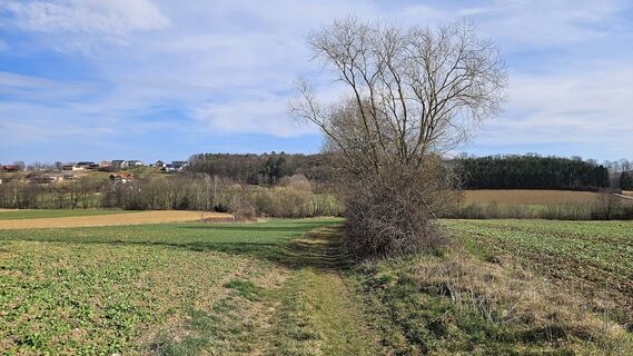 Sandweg