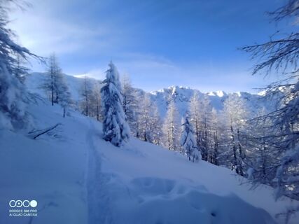 Fotografia z Gerald Lipouschek na trase