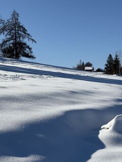 Fotografia z Reinhard Frewein na trase