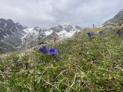 Zdjęcie z Robert Rittig wzdłuż trasy