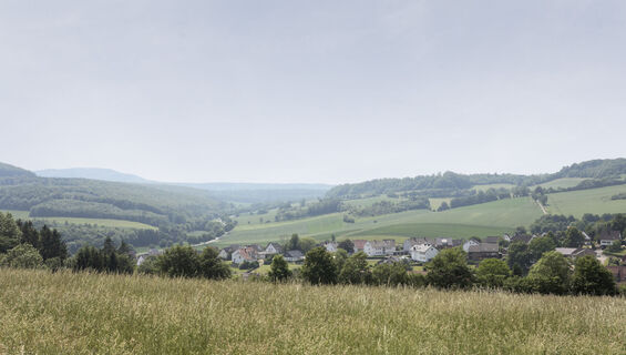 Landschaft bei Sonneborn CC BY-SA - LTM.jpg