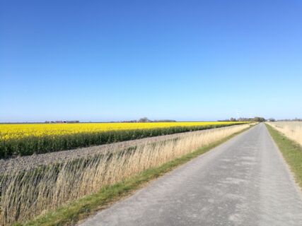 Ostfriesische Landschaft