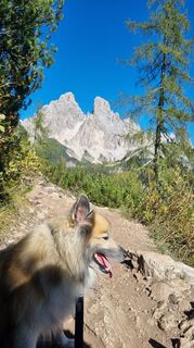 Photo de Michael Sparlund le long du parcours