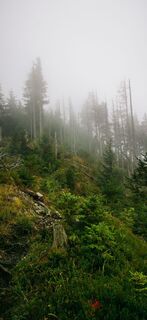 Foto von Klaus Lehner entlang der Tour