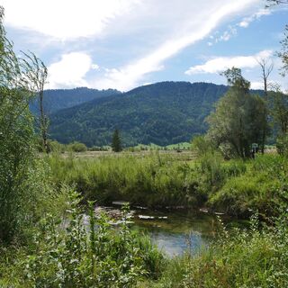 Naturschutzgebiet Pulvermoos und Ammer