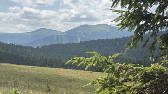 Photo de Astrid K. le long du parcours