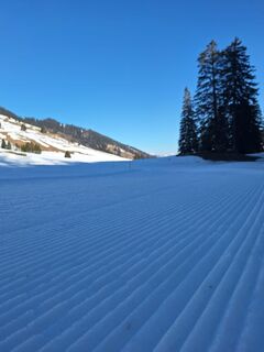 Präparierter Winterwanderweg in Richtung Fürggli