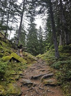 Foto von derroehrig entlang der Tour