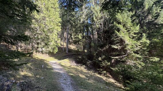 Foto von peter_oe entlang der Tour