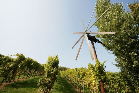 Der Klapotetz - eine Vogelscheuche