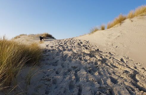 Fort-Mahon-Plage_Wanderweg-der-Dünenfischer©SommeTourisme-DM