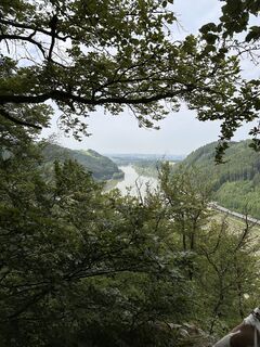 Photo de Babs Holz le long du parcours
