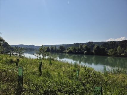 Foto de Gerfried Süßenbacher a lo largo del recorrido