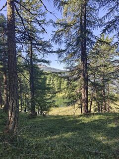 Foto von Sam entlang der Tour