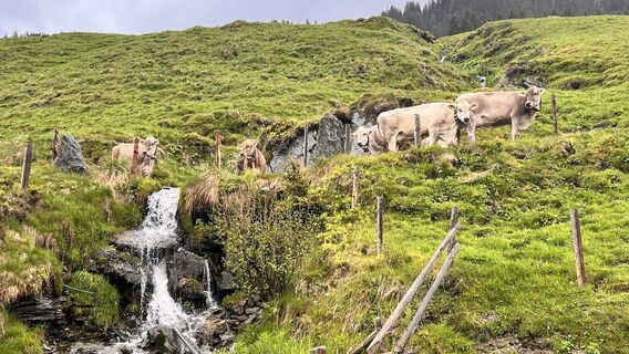 Fotografija s spletne strani Ralph Hollfoth na poti
