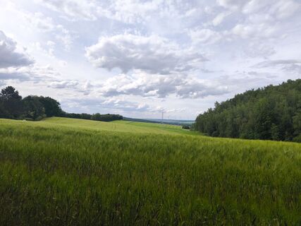 Photo de J S (evechen) le long du parcours