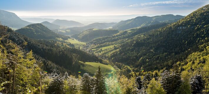 Blick ins Hornungstal bei Gutenmann