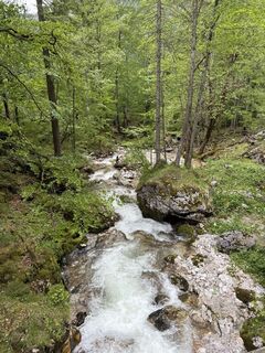 Foto von Florian Halbmayr entlang der Tour