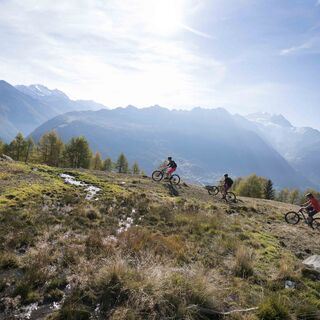 3 Mountainbiker mit einer großartigen Aussicht auf die Walliser Berge