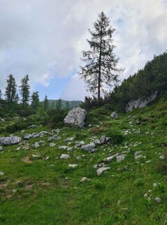 Foto von uhu321 entlang der Tour