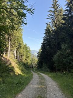 Photo de Julia Van beijnen le long du parcours