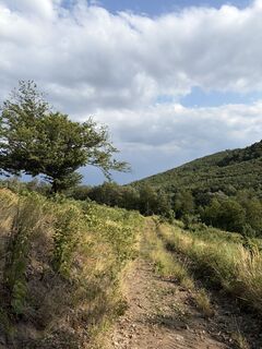 Photo de Máté Ádám Schultheisz le long du parcours