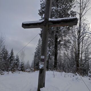 Fotografie z SiMy Samitz na trase