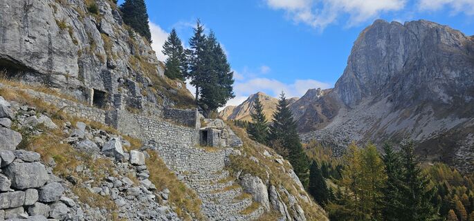 Fotografija s spletne strani Nico na poti