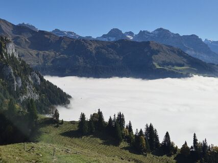 Foto von alinradu entlang der Tour