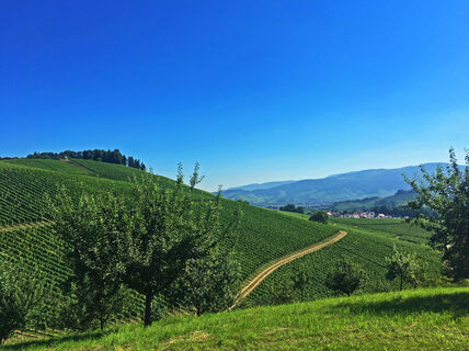 Blick ins Renchtal