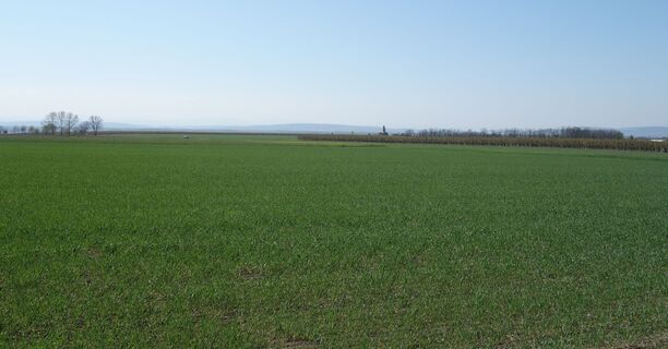 Blick zurück nach Südwest