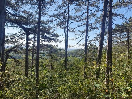 Ausblick von der Einödhöhle