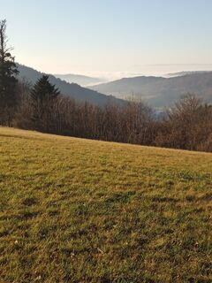 Foto von Laifernorbert entlang der Tour