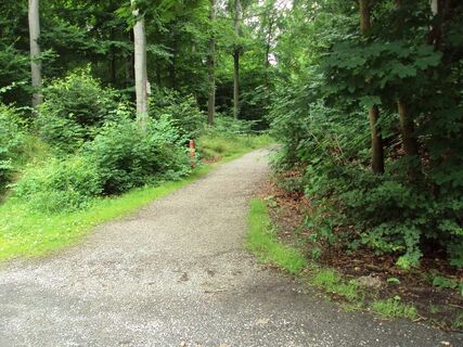 Salzgitter Höhenzug, Waldeingang Wanderweg 25 und 26