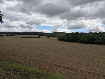 Foto de Edero a lo largo del recorrido