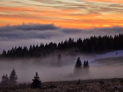 Foto von TwilightTea entlang der Tour