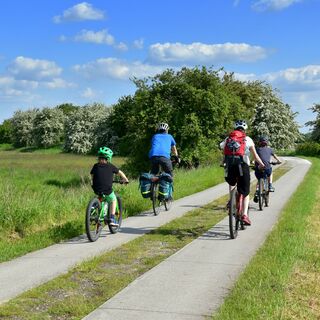 Auf zum Elberadeltag am 05. Mai 2024 - Geführte Radtour ab Havelberg