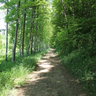 Entlang des Brielbachs