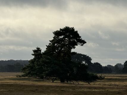 Fotó a Ilona Schuster honlapról a túra során