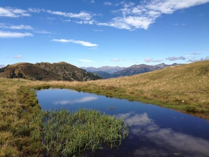 Wasserspiegelung auf der Zollnerhöhe