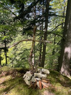 Fotografie de la Christine de-a lungul turului