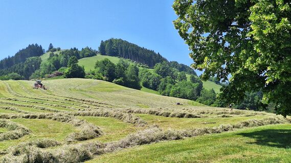 Fotografia z Gerhard Edermayer na trase
