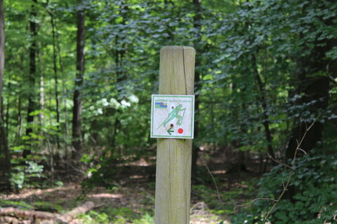 Sellingsloh Nordic Walking