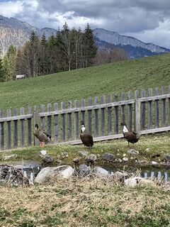 Foto von Franco Nicastro 1 entlang der Tour