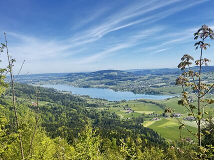 Foto von Friederike Steyrer entlang der Tour