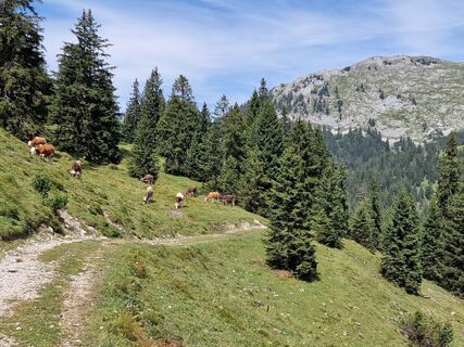 Zdjęcie z Cristian Mario Rota wzdłuż trasy