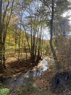 Fotografie z Tanja Fercher na trase