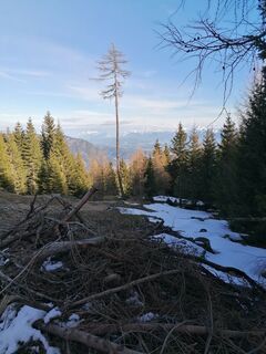 Foto från Dagmar Hofer under resans gång