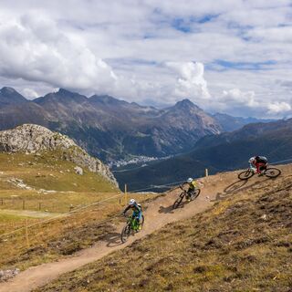 Marmotta Flow Trail
